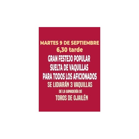 Suelta de Vaquillas - 9 de Septiembre - Martes - Entrada Toros Villarrubia de los Ojos 2025 - Feria Taurina 2025