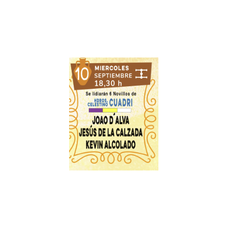 Novillada con Picadores - 10 de Septiembre - Miércoles - Entrada Toros Villaseca de La Sagra 2025 - Alfarero de Oro 2025