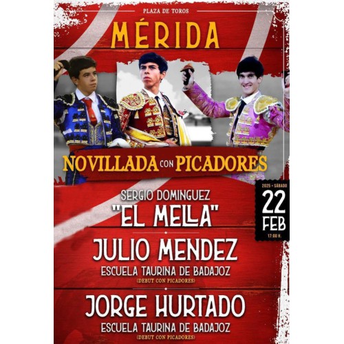 Novillada con Picadores -...