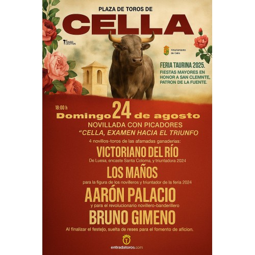 Novillada con Picadores -...